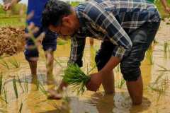 Agriculture