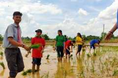 Agriculture-2
