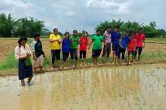 Agriculture-4
