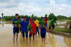 Agriculture-5