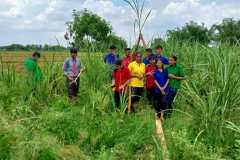 Agriculture-6