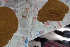 soil-testing-1